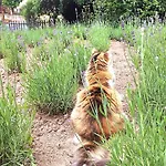 Honey Gardens Venkovský V Přírodní Zahradě Apartamento *