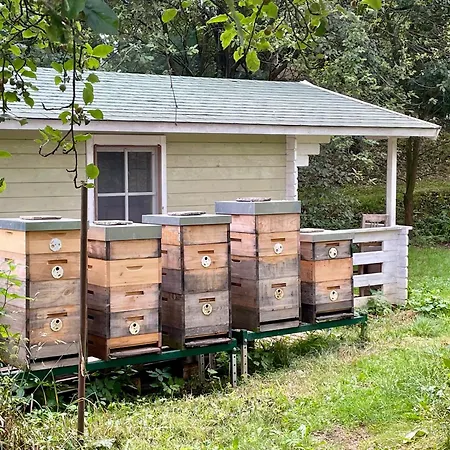 Honey Gardens Venkovsky V Prirodni Zahrade * Oleska