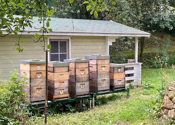 Honey Gardens Venkovsky V Prirodni Zahrade * Oleska