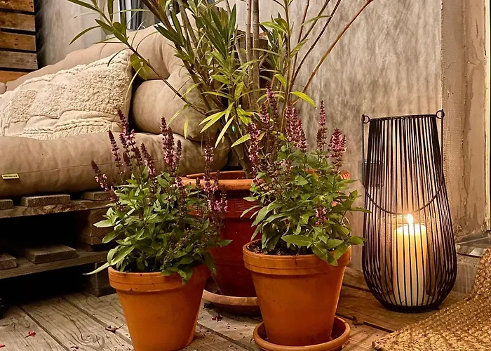 Honey Gardens Venkovsky V Prirodni Zahrade